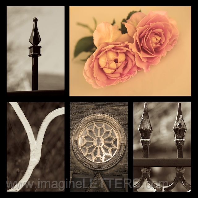 Wall_Art_Alphabet_Photography_Art_ 994.jpg